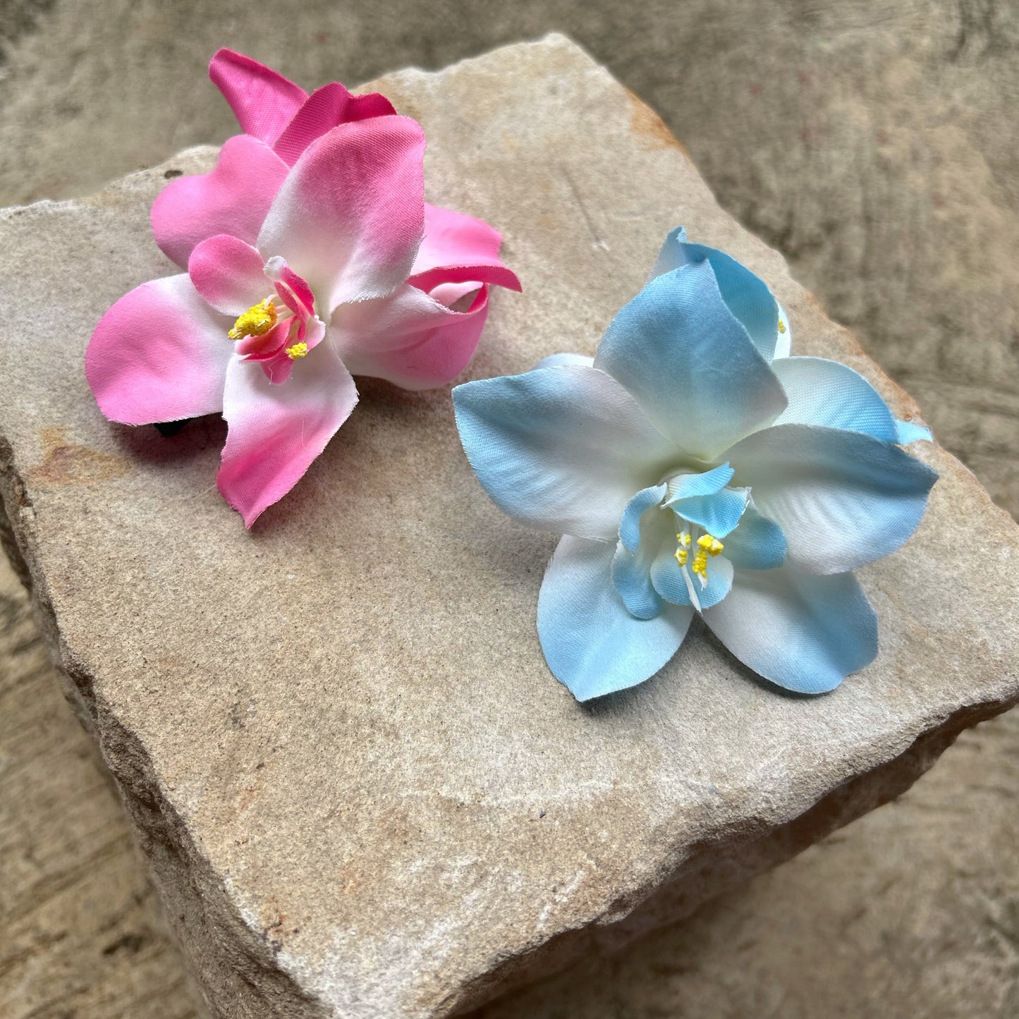 Colorful orchid clip