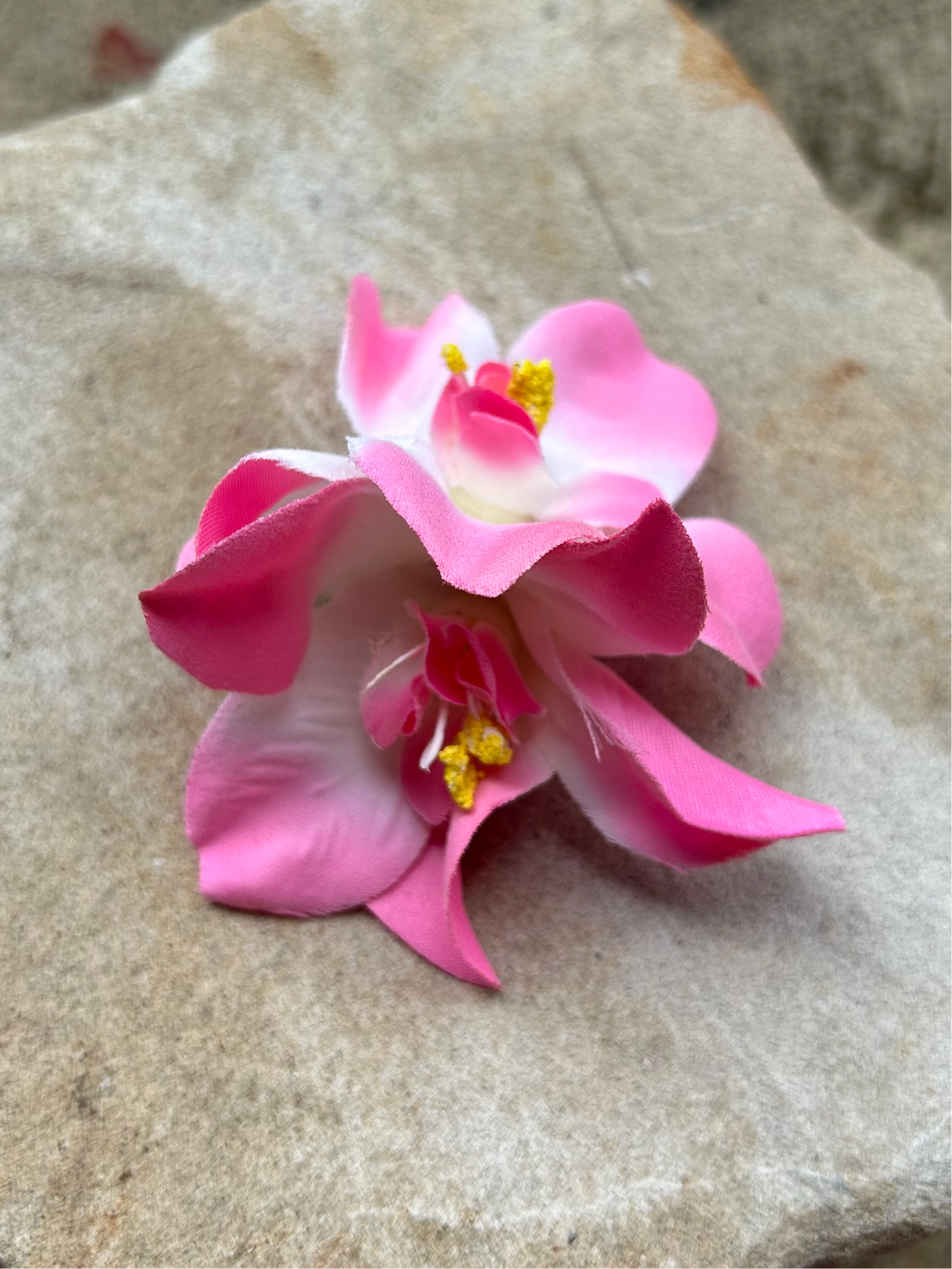 Colorful orchid clip